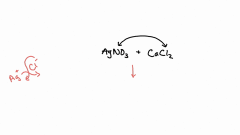 which-is-the-correct-net-ionic-equation-for-the-reaction-of-agno3-and-cacl2-20244