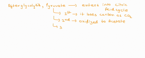 in-the-presence-of-oxygen-the-three-carbon-compound-pyruvate-can-be-catabolized-in-the-citric-acid-cycle-first-however-the-pyruvate-1-loses-a-carbon-which-is-given-off-as-a-molecule-of-co2-2-33067
