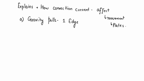 identify-the-four-types-of-tissue-in-the-body-and-describe-the-major-functions-of-each-tissue-78043