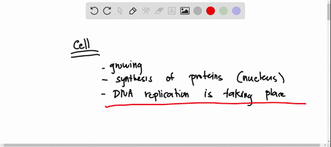 a-body-cell-has-been-growing-and-at-synthesis-proteinsin-the-nucleus-of-this-body-celldna-replication-is-taking-place-and-a-copy-of-the-cells-genetic-material-is-copiedwhich-of-the-following-57916