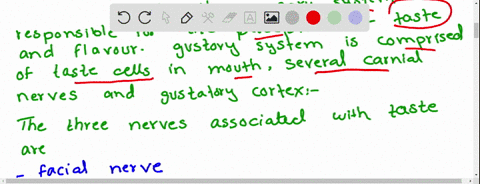 which-of-these-cranial-nerves-is-part-of-the-gustatory-system-a-olfactory-b-trochlear-c-trigeminal-d-75217