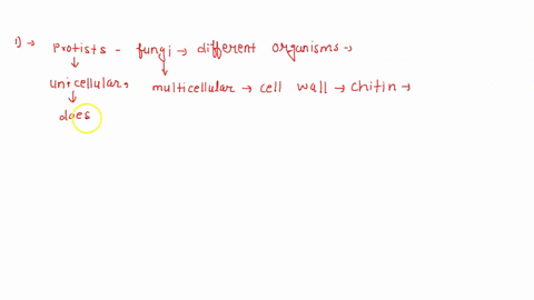 question-9-2-pts-protists-and-fungi-are-really-the-same-type-of-organism-but-are-called-by-different-names-in-different-parts-of-the-world-true-false-question-10-2-pts-prokaryotic-cells-arej-34346
