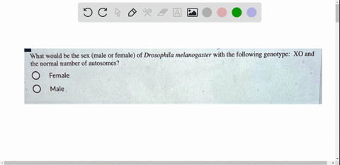 what-would-be-the-sex-male-or-female-of-drosophila-melanogaster-with-the-following-genotype-xo-and-the-normal-number-of-autosomes-female-male-26347