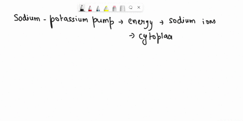 haverun-1pts-question-41-in-a-resting-neuronthe-sodium-potassium-pump-requires-energy-to-maintain-oahigher-concentration-of-sodium-ions-and-potassium-ions-in-the-cytoplasm-than-in-the-extrac-39892