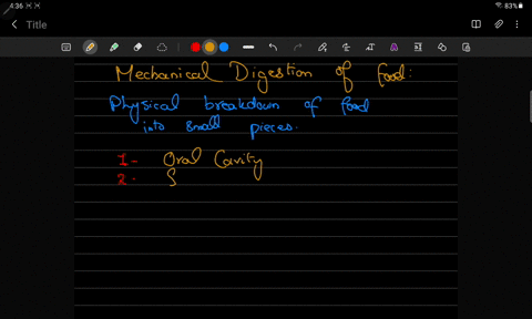 name-two-components-of-the-digestive-system-that-perform-mechanical-digestion-describe-how-mechanica-57799