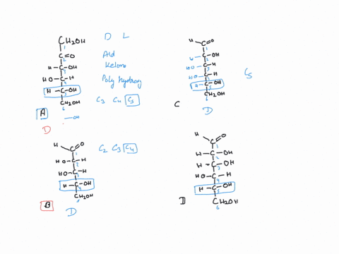 atlim-universmty-department-of-chemical-engineering-2020-2021-spring-semester-chft08-introduction-to-bioorganic-chemistry-homework-91o-namne-urame-homcuok-will-to-yoli-wslrictor-dutipa-nlxt-39548