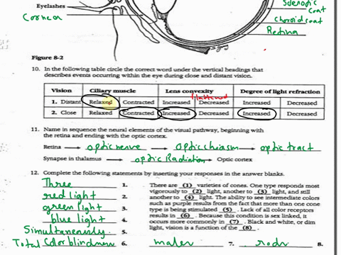 eye-and-vision-131-eyebrow-eyelashe-figure-8-2-10-in-the-following-table-circie-the-correct-word-under-the-vertical-headings-that-descnbes-events-occurring-within-the-eye-during-dose-and-dis-73387