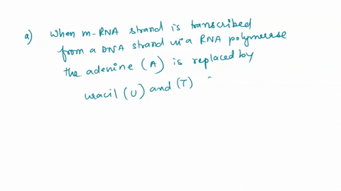 the-entire-very-small-mrna-sequence-encoded-by-the-human-xam-gene-is-given-below-the-stop-codon-is-capitalized-5-augucccauccuuuucaccaggaugggagagguugcuucccucccacauccggcaugcgcauuauaaaagaugauaa-01355