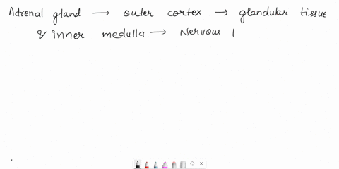 the-adrenal-gland-consists-of-an-outer-cortex-of-________-tissue-and-an-inner-medulla-of-________-tissue-nervous-fibrous-glandular-nervous-fibrous-glandular-glandular-connective-glandular-ly-71458