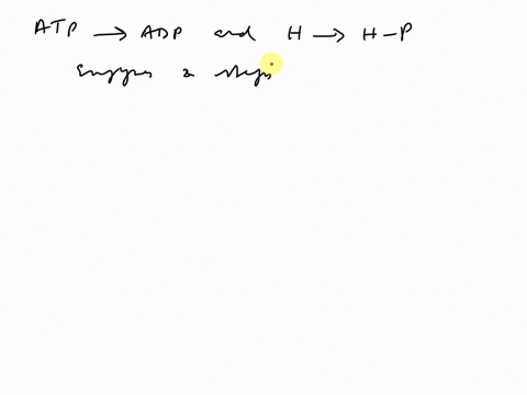 incorrect-question-2-0-1-pts-if-energy-coupling-between-the-reactions-atp-_-adp-and-h-h-p-is-direct-how-many-enzymes-and-how-many-steps-are-required-and-how-is-coupling-accomplished-1-one-en-64836