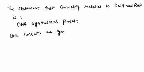 which-statement-correctly-relates-to-dna-and-rna-rna-contains-the-genetic-code-rna-reads-and-translates-the-dna-code-dna-reads-and-translates-the-rna-code-dna-synthesizes-protein-18924