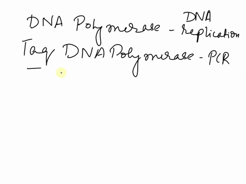 most-dna-polymerases-achieve-a-remarkable-precision-when-copying-a-dna-molecule-some-enzymes-though-such-as-taq-dna-polymerase-are-less-precise-because-they-lack-the-group-of-answer-choices-13409