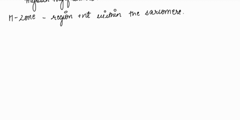 the-h-zone-completely-disappears-in-a-fully-contracted-sarcomere-because-the-70299