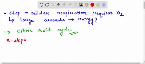 which-step-in-cellular-respiration-requires-energy-oxygen-in-order-to-generate-large-amounts-of-krebscitric-acid-cycle-fermentation-glycolysis-electron-transport-chain-65993