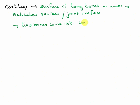 describe-where-cartilage-is-found-on-the-surface-of-the-long-bone-what-function-does-cartilage-serve-in-this-location-20016