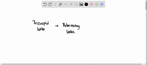 question-24-put-the-heart-valves-in-order-for-the-pathway-of-blood-through-the-heart-bicuspid-mitral-valve-pulmonary-semilunar-valve-tricuspid-valve-aortic-semilunar-valve-0-321-4-0-1-2-3-4-22022