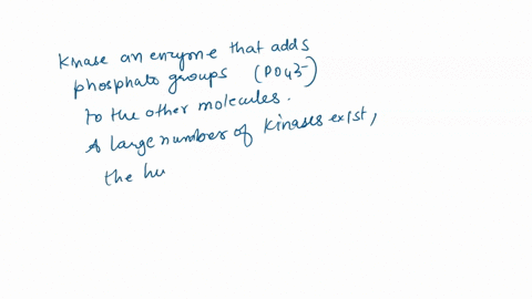 several-different-classes-of-enzymes-are-needed-for-the-catabolism-of-carbohydrates-which-of-the-following-descriptions-best-matches-the-function-of-a-kinase-an-enzyme-that-catalyzes-the-rea-55047