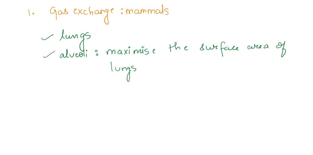 SOLVED: 3. Mammals include some of the largest animals on Earth. How do  they overcome the disadvantage of having a small surface area-to-volume  ratio with respect to gas exchange? In other words,