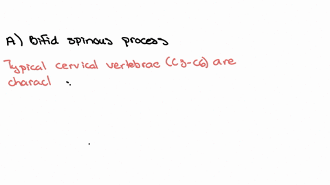 what-feature-is-found-in-typical-cervical-vertebrae-but-not-in-the-atypical-cervical-vertebrae-a-bifid-spinous-process-b-large-vertebral-foramen-c-odontoid-process-d-transverse-foramen-e-no-vertebral