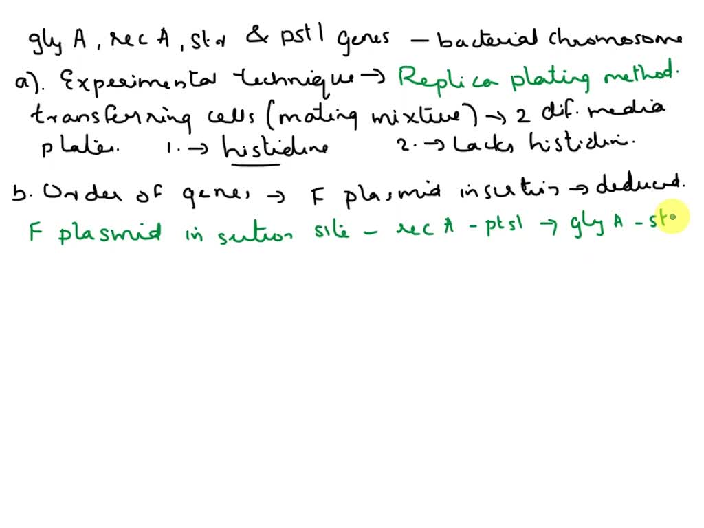 SOLVED: 19. a. You want to perform an interrupted-mating mapping with ...