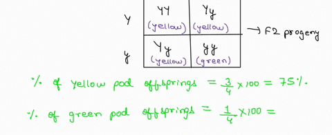 2-in-pea-plants-yellow-pods-are-dominant-over-green-pods_-if-a-homozygous-yellow-pod-plant-mates-with-plant-that-has-green-pods-what-are-the-expected-phenotypes-in-percent-for-the-fi-generat-96906