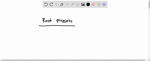 root-pressure-moves-water-up-the-stem-using-surface-tension-forces-within-the-root-using-osmotic-pressure-to-suck-water-into-the-roots-water-is-pumped-into-the-roots-by-active-transport-usin-60772