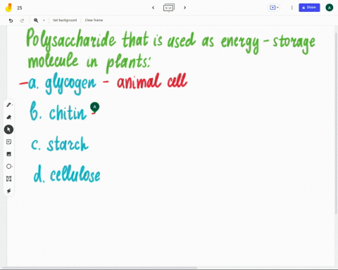 which-of-the-following-polysaccharides-is-used-as-an-energy-storage-molecule-in-plants-a-glycogen-b-50058