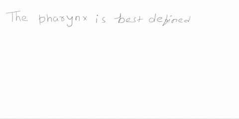 which-of-the-following-best-defines-the-pharynx-an-external-opening-of-the-body-that-takes-in-air-a-small-bone-in-the-wall-of-the-nasal-cavity-an-airway-leading-from-the-nose-to-the-trachea-49237