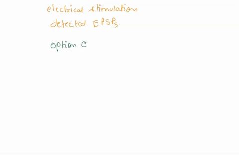 lets-imagine-you-apply-electrical-stimulation-to-the-schaffer-collaterals-of-ca3-neurons-and-observe-obvious-postsynaptic-depolarizations-epsps-in-the-ca1-neuron-after-several-stimulations-y-04154