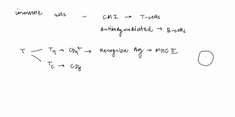 question-2-are-part-of-cell-mediated-immunity-while-b-cells-nk-cells-antibodies-antigens-t-cells-b-cells-macrophages-antibodies-are-part-of-antibody-mediated-immunity-question-2-are-part-of-78528
