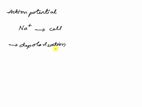 the-undershoot-phase-ofe-alter-hyperpolarization-is-due-to-a-slow-opening-of-voltage-gated-sodium-channels_-b-rapid-opening-of-voltage-gated-calcium-channels-c-slow-restorative-actions-of-th-08698