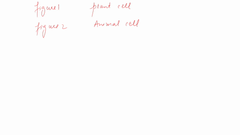 figure-1-shows-a-model-of-a-plant-cell-wall-the-blue-structures-are-cellulose-hdr-iis-which-are-responsible-tor-providing-tensile-strength-figure-2-shows-the-attachment-of-a-cellto-a-collage-13987