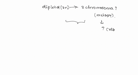 diploid-cell-having-8-chromosomes-undergoes-meiosis-how-many-chromosomes-are-present-in-the-cell-after-meiosis-1-select-one-0-a-16-0-b-2-c4-d-8-38245