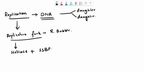 which-of-the-following-is-true-about-dna-polymerase-a-it-can-synthesize-dna-in-the-5-to-3-direction-b-it-can-synthesize-dna-in-the-3-to-5-direction-c-it-can-synthesize-mrna-in-the-3-to-5-dir-53697