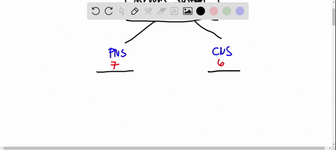 divisions-of-the-nervous-system-break-down-the-nervous-system-into-its-sub-categories-using-the-boxes-belo-with-the-terms-cns-pns-ans-sns-sympathetic-and-parasympathetic-include-each-of-thei-72742