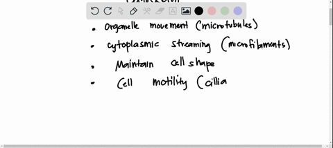 the-cytoskeleton-is-important-in-all-the-cellular-processes-listed-below-except-a-drive-organelles-in-a-constant-stream-around-the-cell-interior-along-cytoskeletal-tracts-b-locomotion-of-the-02292