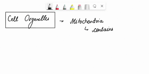 question-59-mitochondria-differ-from-chloroplast-in-that-mitochondria-produce-glucose-whereas-chloroplasts-break-down-glucose-mitochondria-are-not-found-in-plantsand-chloroplasts-are-not-fou-44423