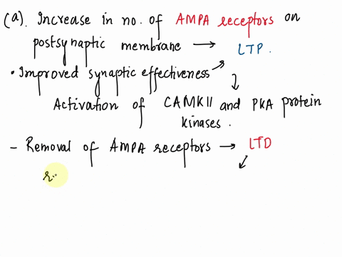 neuroscience-synaptic-physiology-describe-the-cellular-and-molecular-mechanisms-underlying-long-term-potentiation-and-long-term-depression-focus-on-trafficking-of-new-ampa-receptors-and-phos-77388
