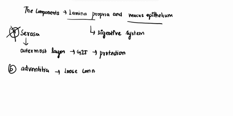 elamina-propria-eno-exceptions-are-present-efaux-eileum-c-sensory-analysis-emolars-epylorus-epylorus-dmucosa-duvula-are-located-in-the-front-of-the-mouth-dincisors-cthe-glottis-closes-doroph-75174