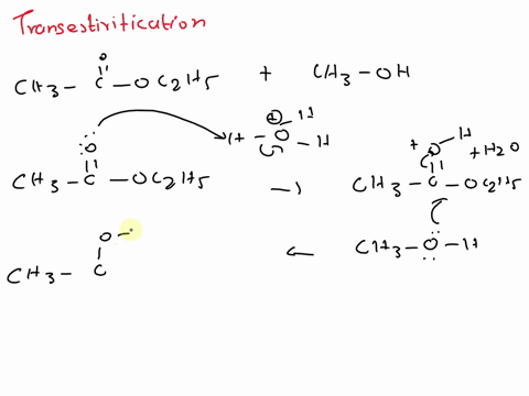 write-the-mechanism-for-the-acid-catalyzed-transesterification-of-ethyl-acetate-with-methanol-88776