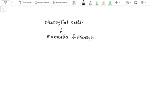 nervous-tissue-lecture-quiz-question-9-true-or-false-without-neuroglial-cells-to-take-care-of-brains-neurons-are-not-capable-of-them-sustaineng-your-your-life_-40015