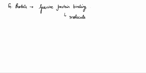 what-is-the-function-of-a-g-protein-what-processes-within-the-cell-do-they-play-a-role-47019