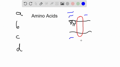 integral-membrane-proteins-are-anchored-in-lipid-bilayers-which-of-the-following-groups-of-amino-acid-residues-would-likely-be-found-in-the-portion-that-crosses-the-lipid-bilayer-nonpolar-po-57683