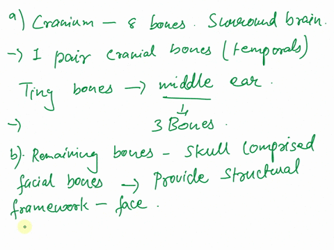 bskull-b1the-skull-consists-of-two-major-regionsdescribe-these-in-this-checkpoint-ooccipil-oparietal-be-osphenoid-o-zygomat-the-located-in-one-pair-of-the-cranial-bones-the-temporals-are-the-60373
