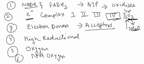 atp-production-0-ol-8-automalic-zoom-0-i-before-getting-started-on-your-concept-map-use-the-activity-below-to-organize-your-thoughts-circle-the-correct-option-for-each-statement-oxidative-ph-53115