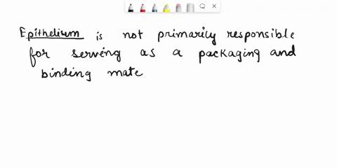 which-of-the-following-is-not-a-function-of-an-epitheliuma-it-is-selectively-permeableb-it-serves-as-a-packing-and-binding-materialc-the-cells-can-produce-secretory-productsd-it-is-designed-71348