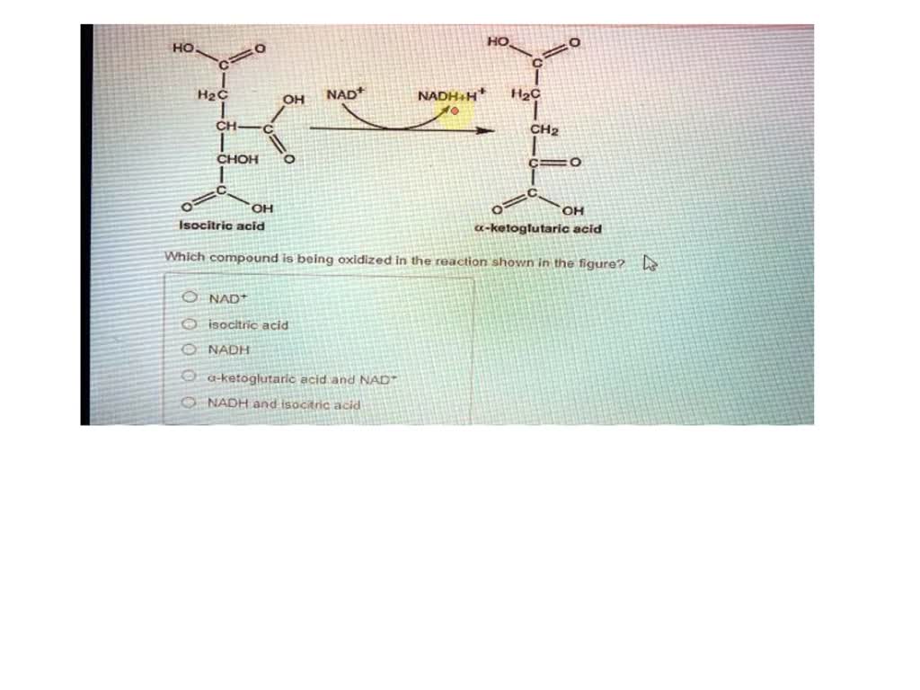 SOLVED: HO- HO H2C OH NADH NADH+H+ H2C CH2- CH2 CHOH OH Isocitric acid ...