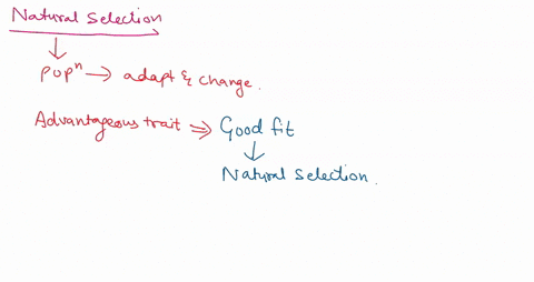 natural-selection-acts-on-but-evolution-happens-at-the-level-a-populations-individual-b-species-cellular-cindividuals-population-d-ecosystems-individual-73148