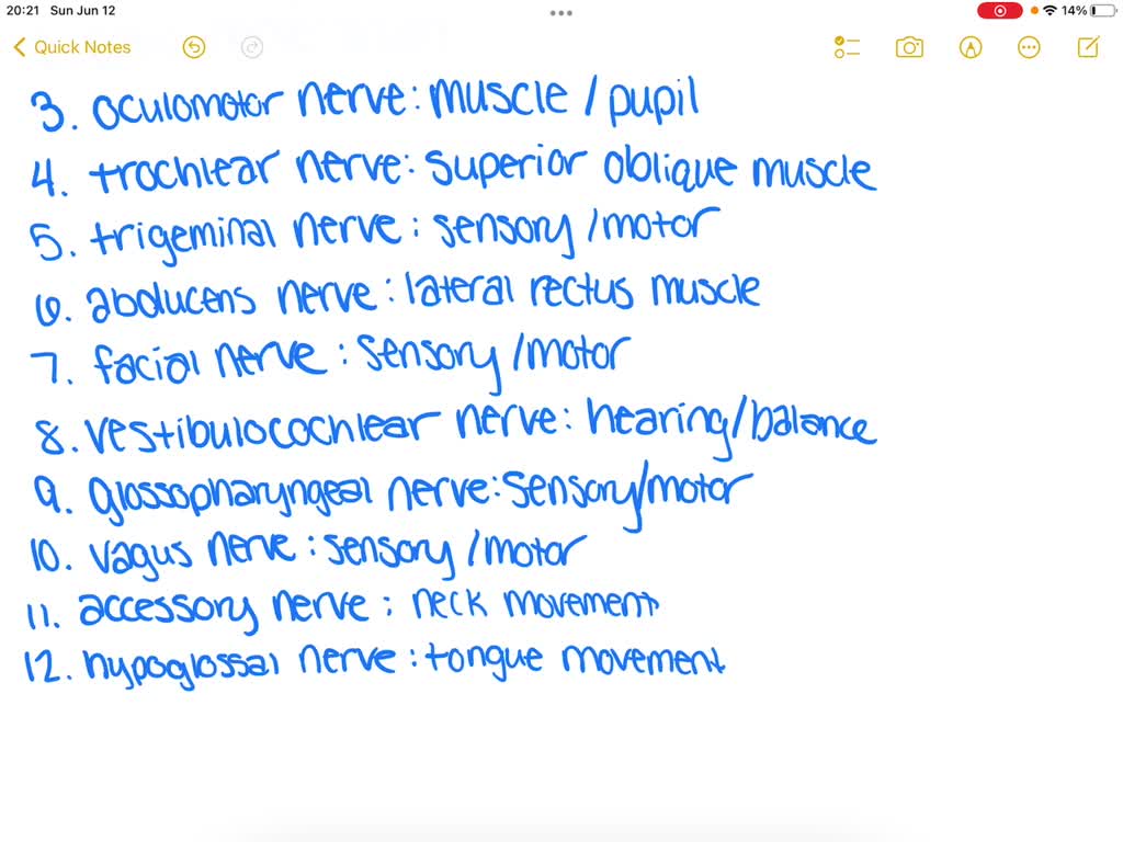 cranial nerve 2 name and function