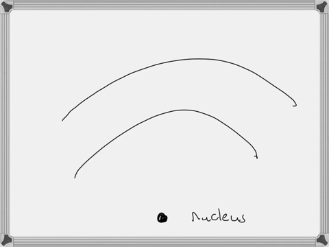 in-the-hydrogen-atom-what-is-the-physical-significance-of-the-state-for-which-ninfty-and-e0-3